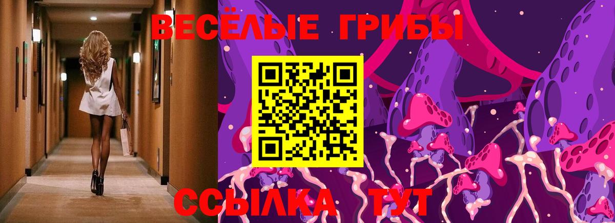 Псилоцибиновые грибы мицелий  Вход с VPN  Славянск-на-Кубани 